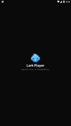 Lark Player汉化版